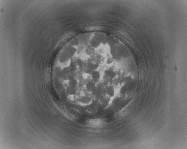 X0000070250171200606301635