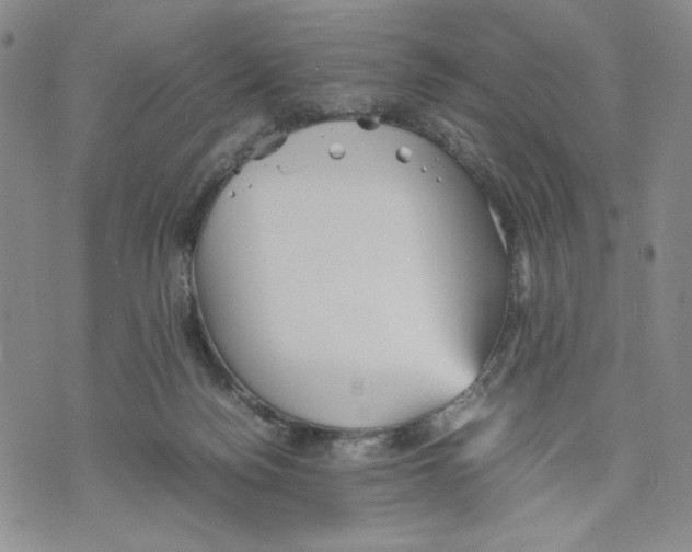 X0000070250172200606301635