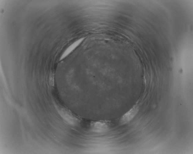 X0000070250180200606301635