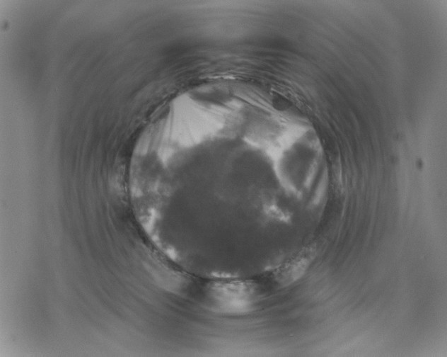 X0000070250181200606301635