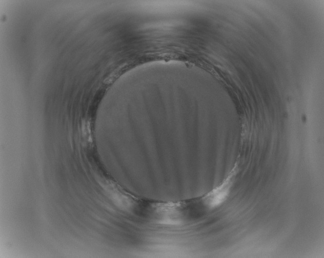 X0000070250182200606301635