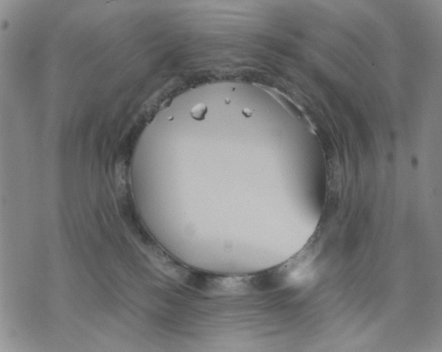 X0000070250184200606301635