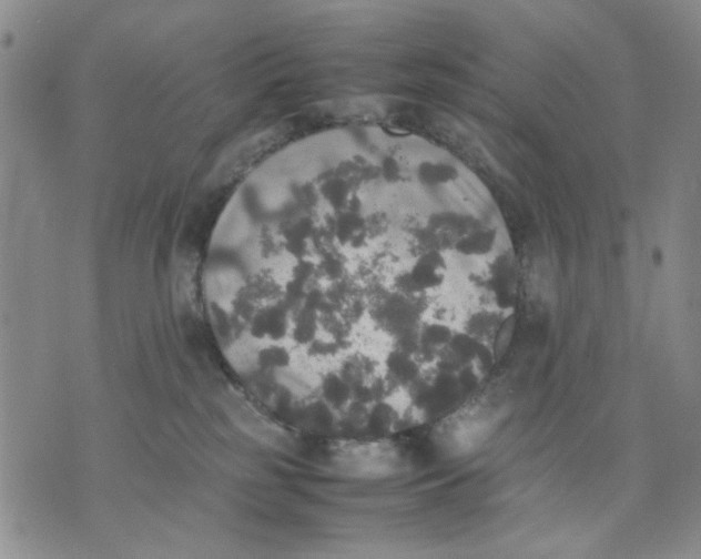 X0000070250185200606301635