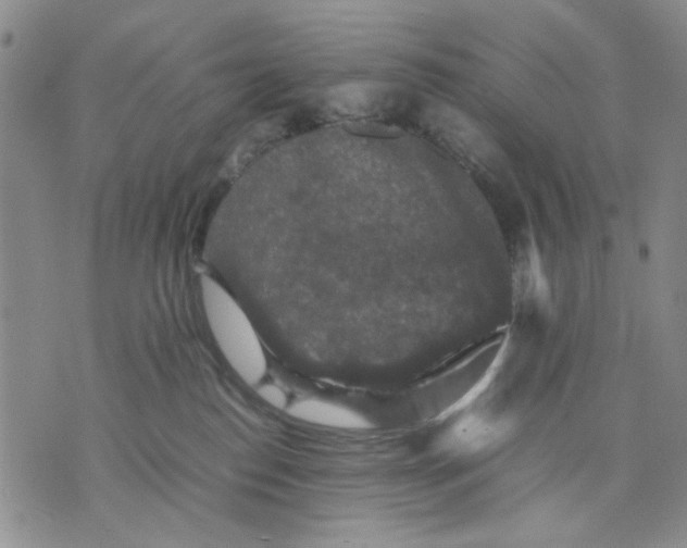 X0000070250186200606301635