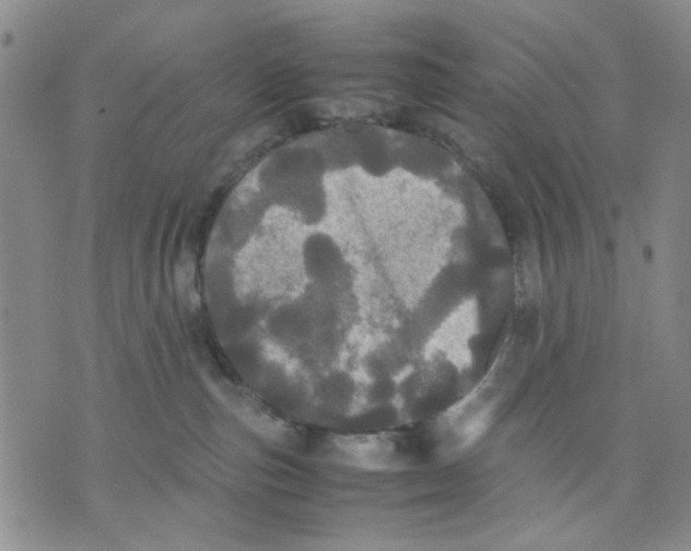 X0000070250187200606301635