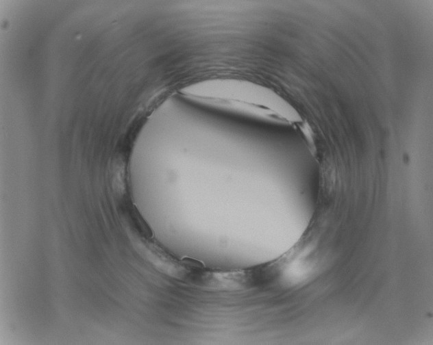 X0000070250188200606301635