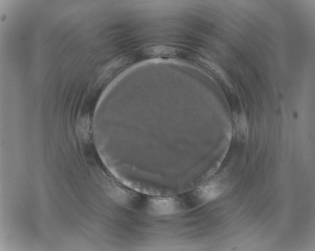 X0000070250189200606301635