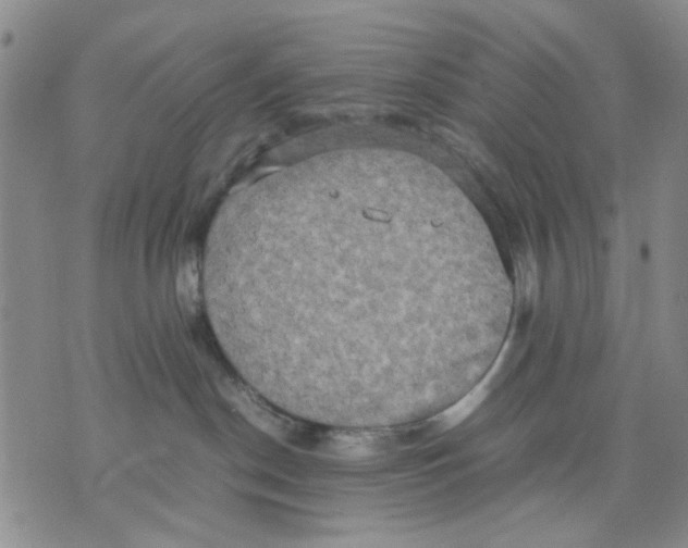 X0000070250190200606301635