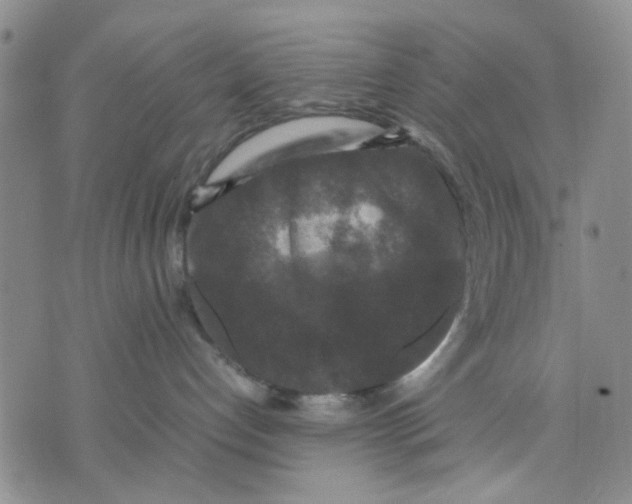 X0000070250192200606301635