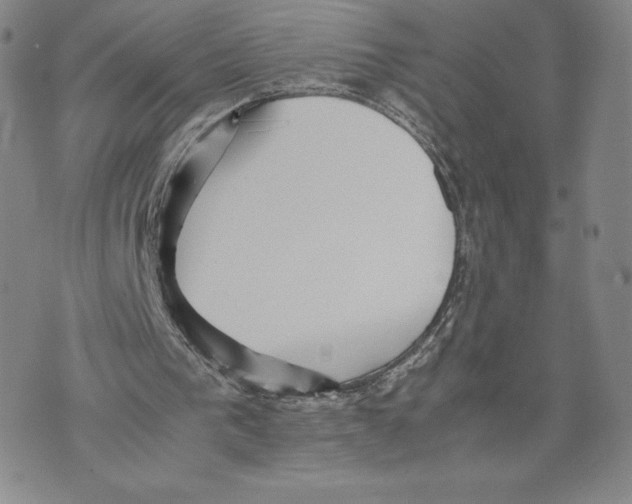 X0000070250193200606301634