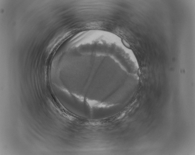 X0000070250194200606301634