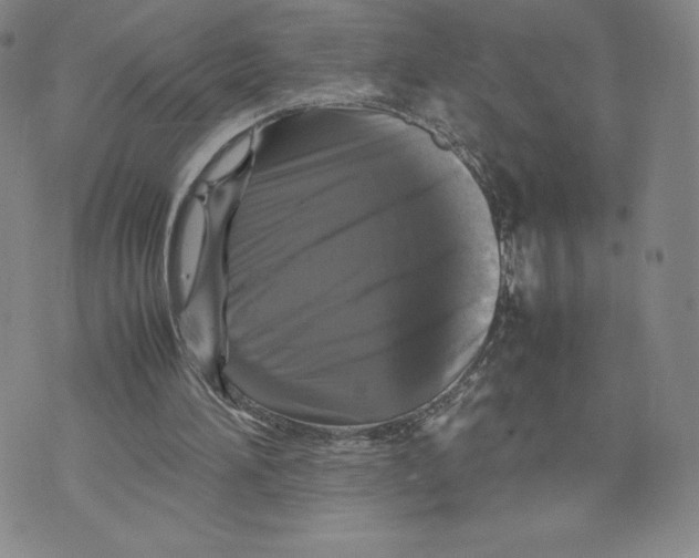 X0000070250196200606301634