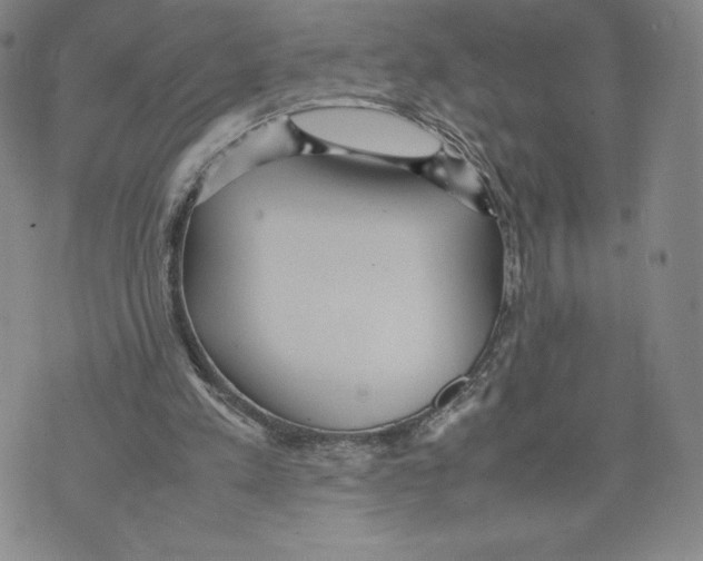 X0000070250197200606301634