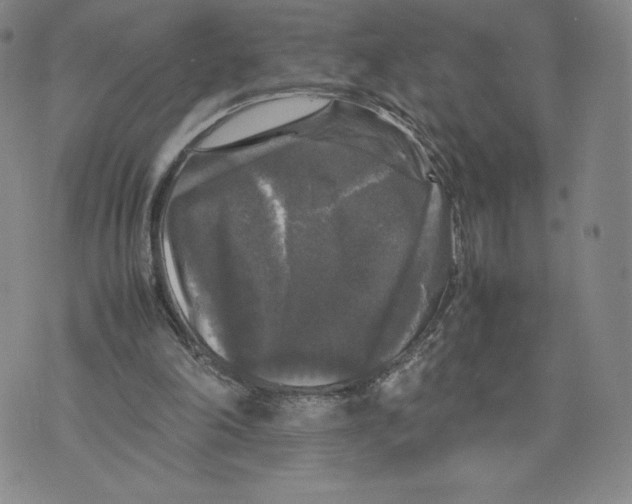 X0000070250198200606301634