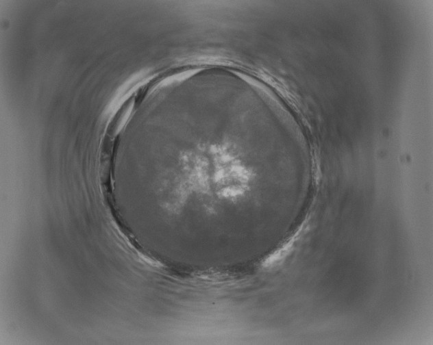 X0000070250199200606301634