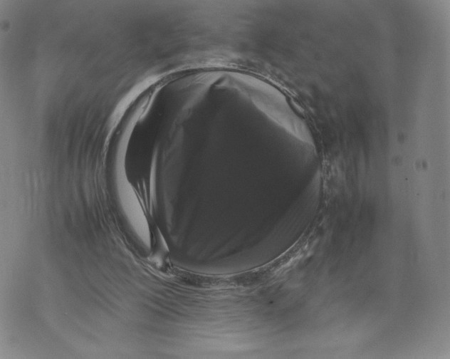 X0000070250200200606301634