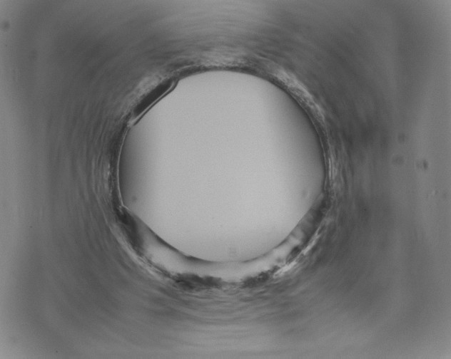 X0000070250201200606301634