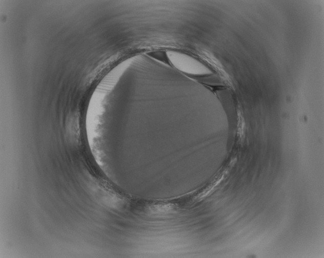 X0000070250202200606301634