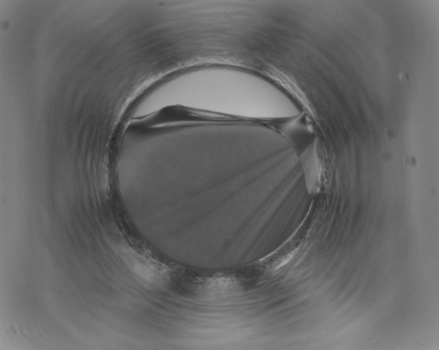 X0000070250204200606301634