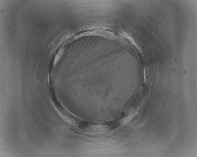 X0000070250205200606301634