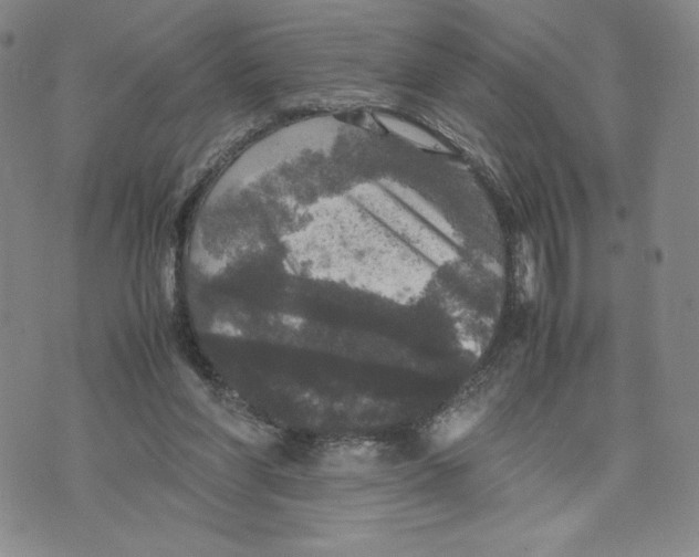 X0000070250206200606301634