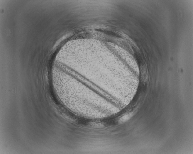 X0000070250207200606301634