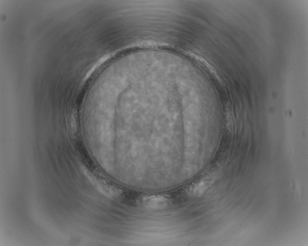 X0000070250208200606301634