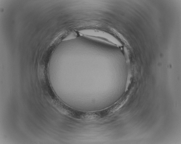 X0000070250209200606301634