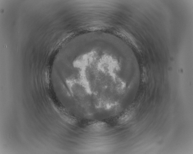 X0000070250210200606301634