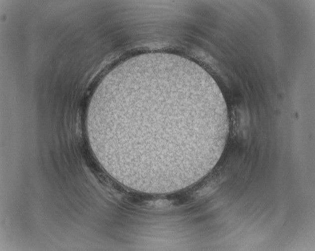 X0000070250212200606301634