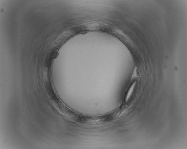 X0000070250213200606301634