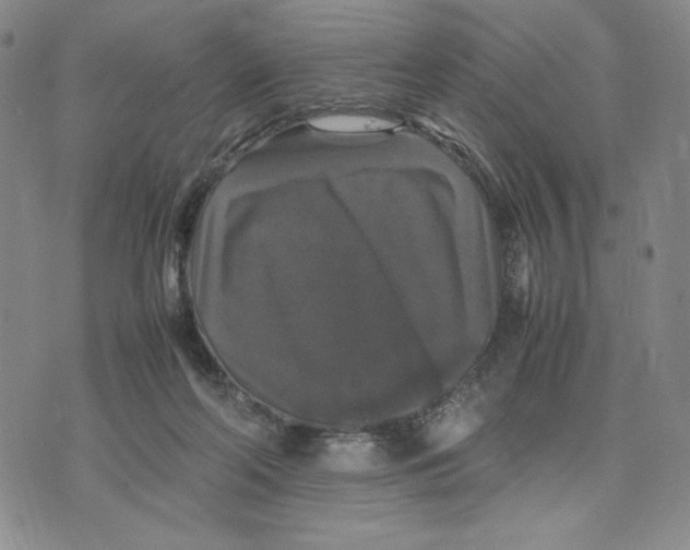 X0000070250214200606301634