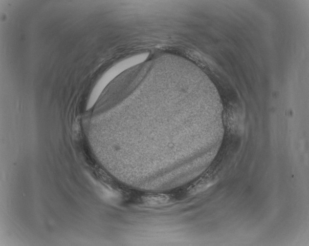 X0000070250215200606301634