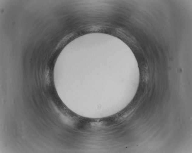 X0000070250216200606301634