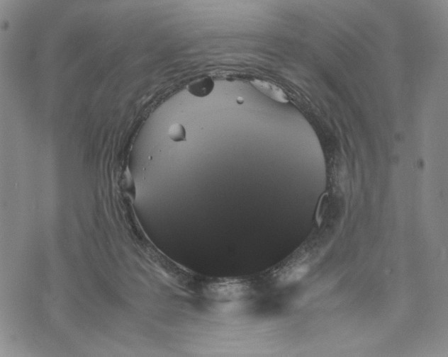 X0000070250219200606301634