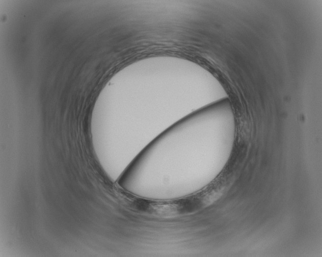 X0000070250221200606301634