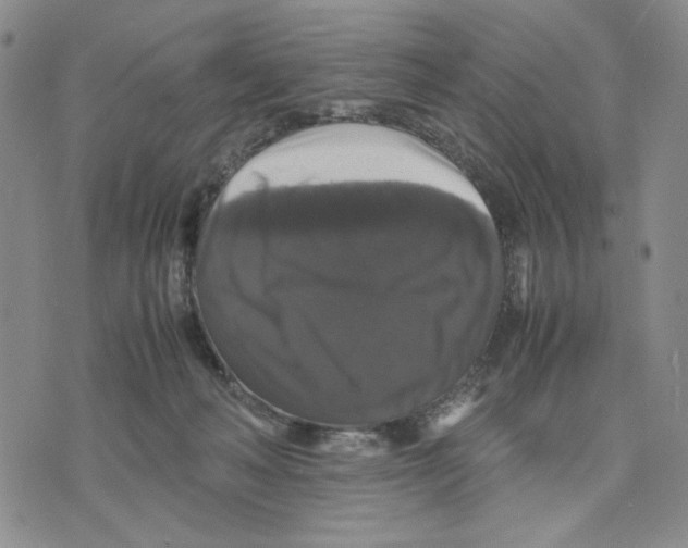 X0000070250222200606301634