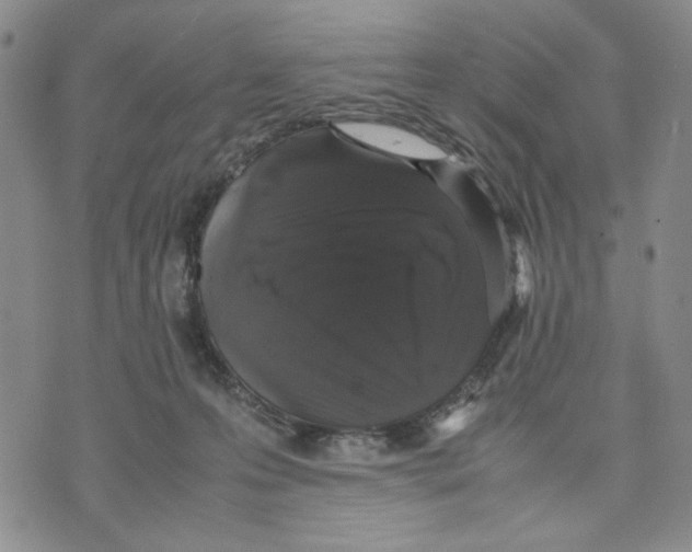 X0000070250223200606301634