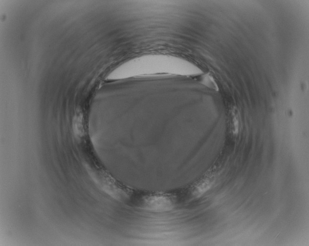 X0000070250224200606301634