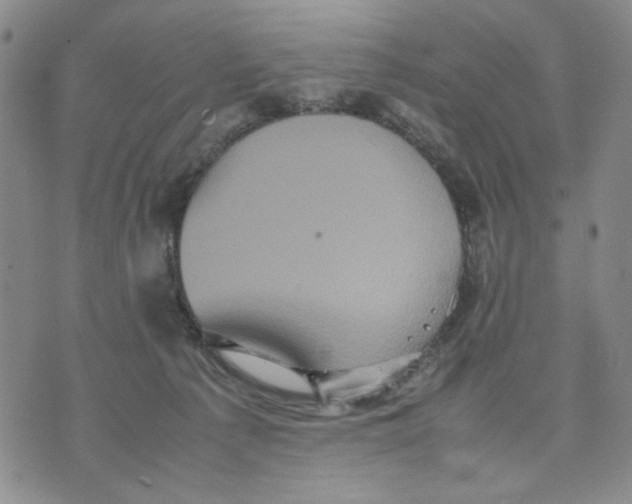 X0000070250225200606301634