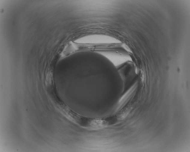 X0000070250227200606301634