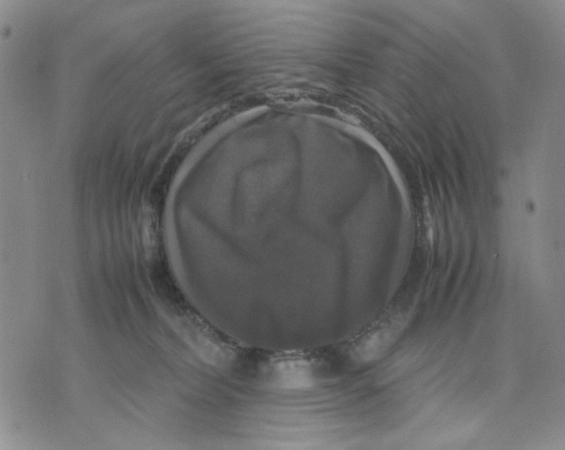 X0000070250228200606301634