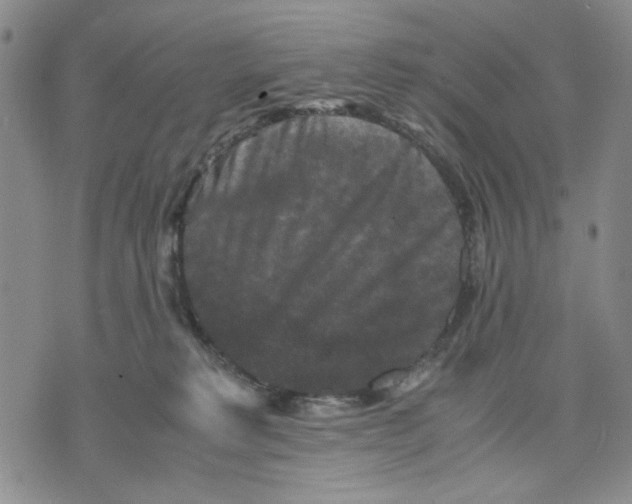 X0000070250229200606301634