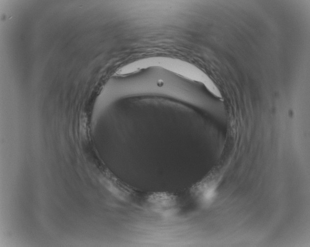 X0000070250231200606301634