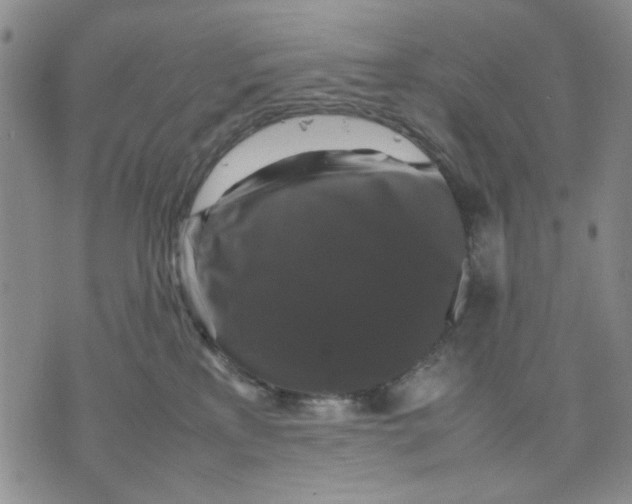 X0000070250233200606301634