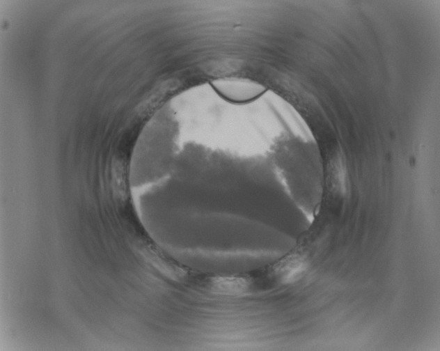 X0000070250234200606301634