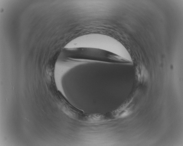 X0000070250235200606301634