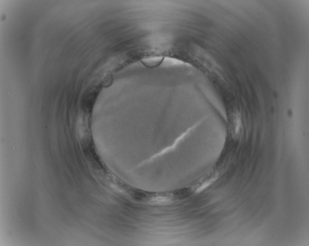 X0000070250236200606301633