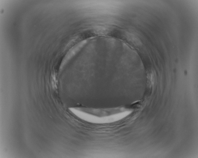 X0000070250237200606301633