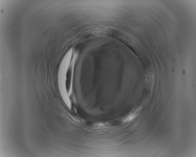 X0000070250239200606301633